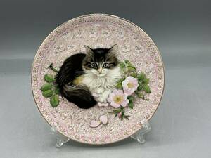 エインズレイ レズリーアンアイボリー 飾り皿 ６月 子猫 カレンダープレート Meet my kittens 猫 (763)