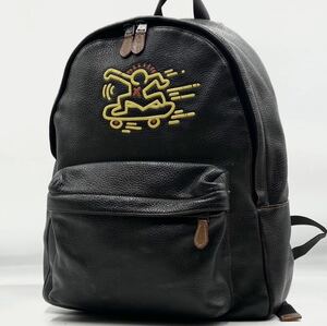 1円【極美品/限定コラボ】入手困難 COACH × Keith Haring コーチ キースヘリング リュック バックパック ビジネスバッグ レザー ブラック