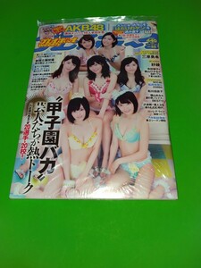 AKB48 週刊プレイボーイ 2015年 No.33 シュリンク 新品未開封品 付録完備 三原勇希 紗綾 寺田御子 青山ひかる 松井玲奈 松川佑依子