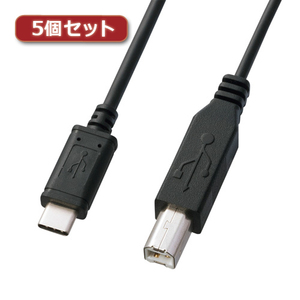 まとめ得 5個セット サンワサプライ USB2.0TypeC-Bケーブル KU-CB30X5 x [2個] /l