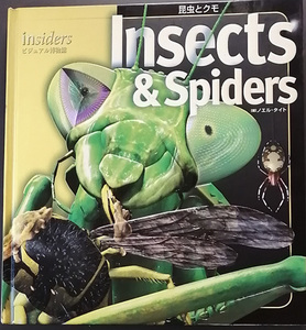 ★☆送料無料！【Insects & Spders】　「ビジュアル博物館 昆虫とクモ」　ノエル・タイト著☆★