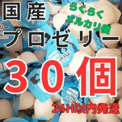 KBファーム プロゼリー 30個 クワガタ カブトムシ エサ 餌 昆虫ゼリー