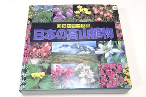 山渓カラー名鑑・日本の高山植物/953種類を徹底収録・双子葉合弁花類335種類・単子葉類197種類・裸子植物14種類・地衣植物15種類