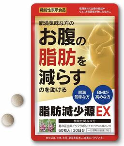 脂肪減少源 EX 60粒入り（30日分）肥満気味な方の 体重 お腹の脂肪