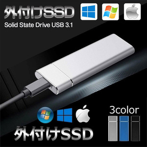 即納 外付けSSD ポータブルSSD 8TB Type-C USB3.1対応 Mac スマホ ドライバー不要 使用簡単 Gen2 Gen1 パソコン PC android 耐衝撃 8TB