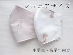 #98　ジュニアサイズ布マスク✾2枚セット　テディベア