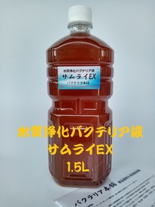 【バクテリア本舗 本店】サムライEX [1.5L]高濃度水質浄化バクテリア液(らんちゅう,めだか,グッピー,金魚,錦鯉,シュリンプ,熱帯魚,海水魚）