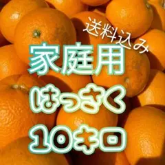 八朔 家庭用 訳あり１０キロ 送料込み