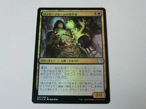 MTG 美品 【ウィザーブルームの初学者（FOIL）】 （アンコモン） STX 日 9枚迄