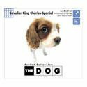 【中古】THE DOG ~ CavalierKingCharlesSpaniel