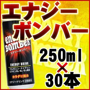 エナジーボンバー （250ml×30本） 【送料無料】