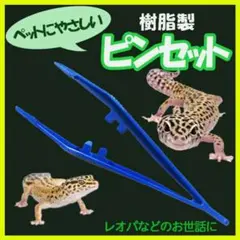 ピンセット 爬虫類 ペット 餌やり エサ レオパ トカゲ 蠍 クモ 青