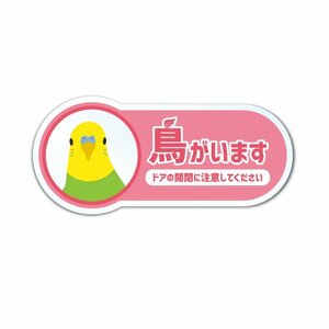 (透明)鳥がいますステッカー セキセイインコ ノーマル 9cm ピンク