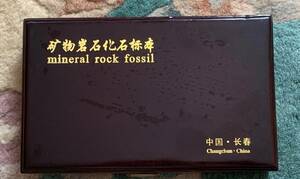 【地質標本】 天然鉱物・鉱石・岩石・化石標本12種セット 木箱入り 地学教材