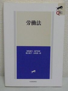 労働法 LEGAL QUEST ★ 両角道代 梶川敦子 水町勇一郎 戸英幸 ◆ 労働紛争解決法 雇用関係法 労働基準法 労働契約法 労使関係法 労働市場法