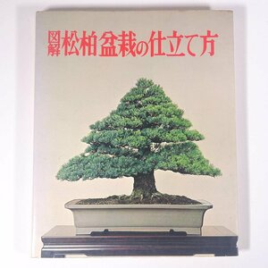 図解 松柏盆栽の仕立て方 ガーデンライフ編 誠文堂新光社 1978 大型本 園芸 ガーデニング 植物 盆栽