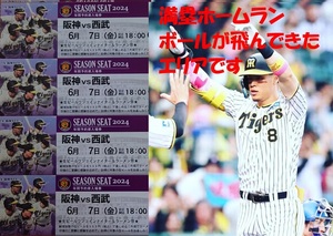 阪神　甲子園　6/7(金)　阪神タイガースvs西武ライオンズ　チケット　ライト下段　4連番並び席セット　中止補償有