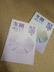 「値下げ」中学3年▼冬期錬成ゼミ&単元別テスト《問題集》数学▼解答有り