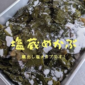 塩蔵メカブです！海の恵みをお届け！500g袋！フコイダン、ミネラル、食物繊維が豊富！健康維持に最適です。漁師直送、送料無料！ 