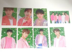 B16 〇SEVENTEEN 『2019 JAPAN TOUR HARU』 トレカ8枚セット　※スペシャルカード多数　Photocard セブンティーン　K-POP 被りなし