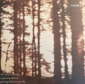 LP Cindytalk The Wind Is Strong... Cindy Sharp David Clancy Experimental Ambient