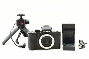 ★超美品★Panasonic パナソニック LUMIX DC-G100 トライポッドグリップ付き #13767