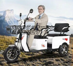 強くお勧め 高齢者向けの電動三輪車 家庭用 三輪車レジャー旅行ショッピング通勤用 F1161