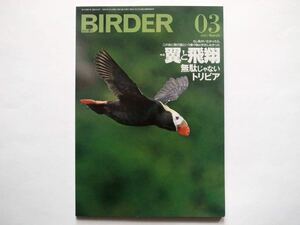 ◆BIRDER（バーダー） 2021年3月号　特集：翼と飛翔　無駄じゃないトリビア