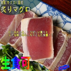 炭焼き「炙りまぐろ 454g」鮪のタタキ 脂の乗りは格別!!