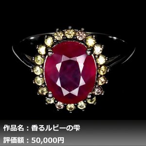 【1円新品】イケゾエガレ｜5.00ct 天然ピジョンブラッドルビー&サファイア K14WG仕上リング 17号｜作家モノ｜本物保証｜NGL鑑別対応