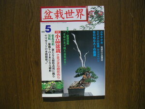 ∞　盆栽世界　2000年5月号　№３６４　新企画出版局、刊　【小品盆栽・　安達祐実　・スナゴケ、黒松、ヤマモミジ、他】