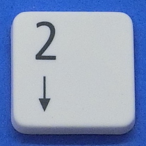 キーボード キートップ 2 下 白消 パソコン NEC LAVIE ラヴィ ボタン スイッチ PC部品