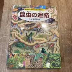 昆虫の迷路 秘密の穴をとおって虫の世界へ