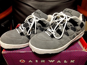 エアーウォーク　airwalk　トニーホーク　シグニチャー　レア