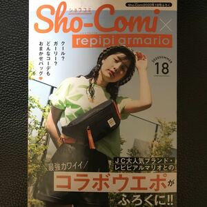 ★ 雑誌付録　レピピアルマリオ　ウェストポーチ★