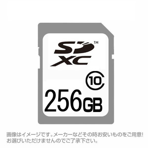 同梱可能 SDカード SDXCカード 256GB 256ギガ クラス10 お得