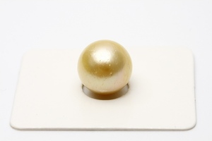 南洋白蝶真珠パールルース　両穴　11mm　ナチュラルゴールドカラー