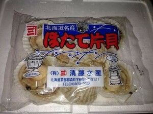 帆立片貝　99g-10cm北海道産 ■帆立片貝 磯焼き！バーベキューに！国産殻付きホタテ！