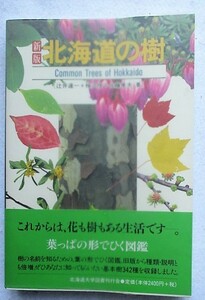 新版 北海道の樹　辻井達一、他2名著　北海道大学図書刊行会