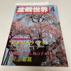 盆栽世界 1986年4月号 ヒメシャラ・ブナ 実生から40年、国風展への軌跡 四季折々に楽しめる草もの盆栽 石菖