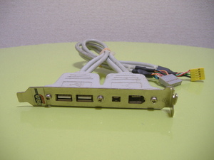 【IEEE1394 ×2、USB ×2　ピンタイプ 背面出力】