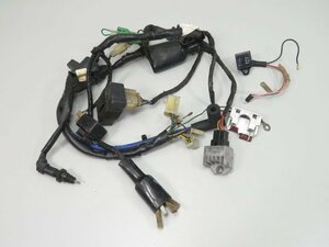 モンキー/ゴリラ Z50J 12V 純正 電装 メイン ハーネス CDI レギュレーター リレー類 イグニッションコイル 実動車外し 検 ノーマル AB27