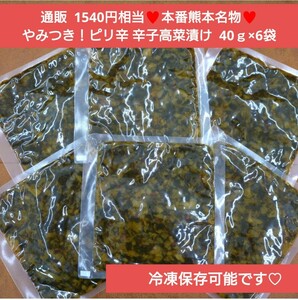 熊本県産 辛子高菜 40ｇ×6 高菜 お漬物 漬物 辛子 醤油漬け