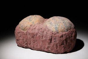 ☆昇藤☆約6500万年前　中国　ハドロサウルスのたまご　（検）化石 恐竜 中国美術 古玩