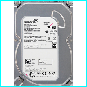 Seagate ST250DM000-1BD141-501 DP/N 0YVMKX 3.5インチ SATA600 250GB 1314回 10025時間