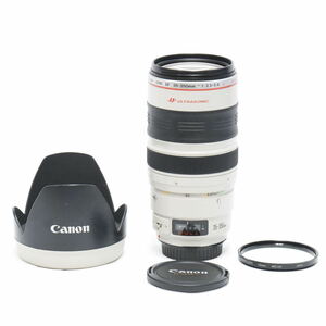 CANON キャノン ZOOM LENS EF 35-350mm f3.5-5.6 L USM ULTRASONIC 中古品