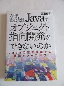 ★即決★小森 裕介★「なぜ、あなたは Javaでオブジェクト指向開発ができないのか」★技術評論社