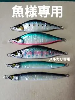 魚様確認用