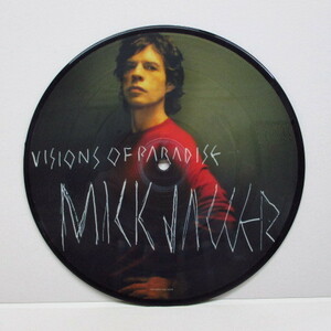 MICK JAGGER-Visions Of Paradise (EU Orig.Picture Disc)