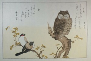 *【復刻木版浮世絵】喜多川歌麿『百千鳥狂歌合　木莵・鷽』